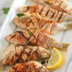 snapper